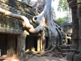 Angkor-East, Siem Reap